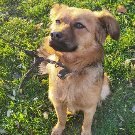 Джентельмен )))