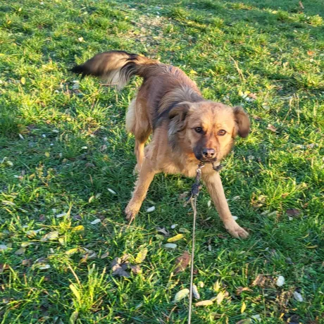 Любить людей і гратися дуже любить. А ще більше обійматися й цілуватися )))