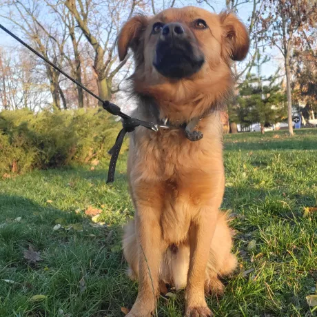 Красень пишається своїми досягненнями!!!