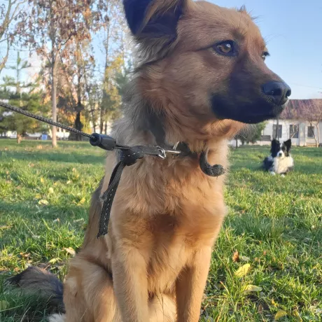 Позує для вдалого кадру )))