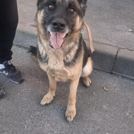 Муся, 4 роки