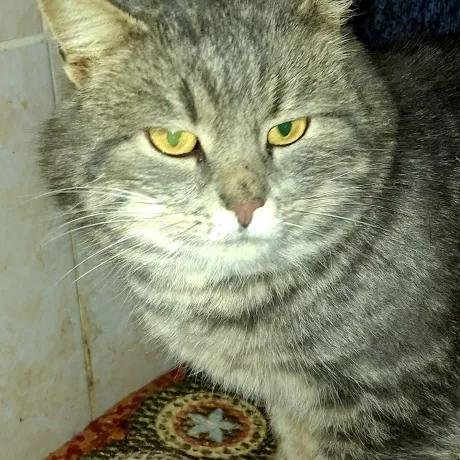 Боня, 2 роки