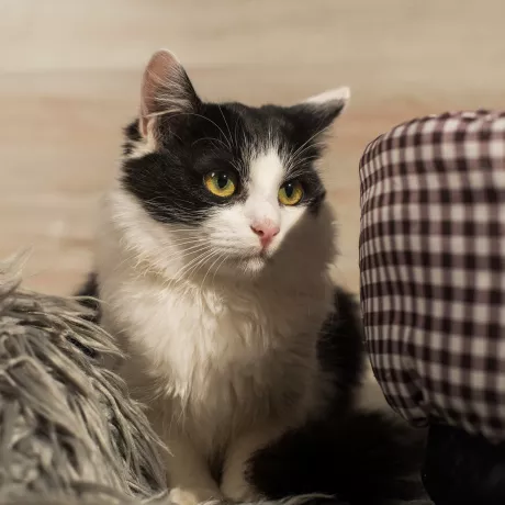 Маленька бусінка