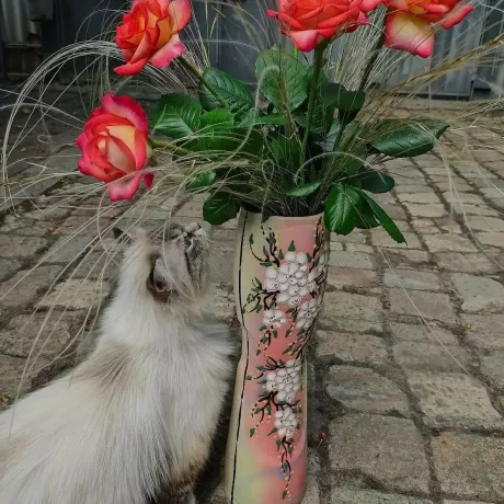 ""