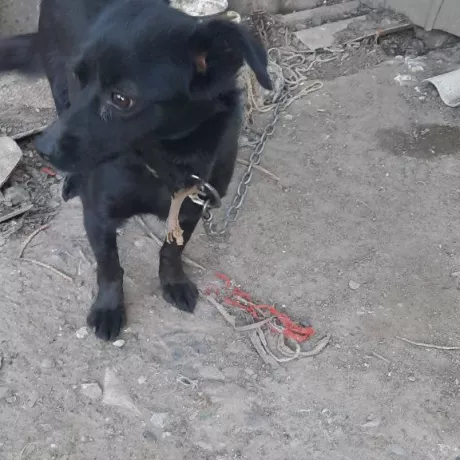 Жанна, майже 4 роки, приблизно 7 кг