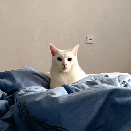 сидимо на м'якенькому