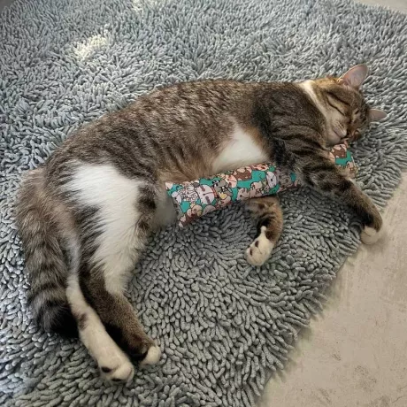 Позивний "Кефірчик" На шиї був ошийник з двзоником та блисківками. Ліве око завжди прижмурене.